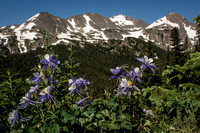 COlumbine and un named peaks in Indian Peaks Wilderness