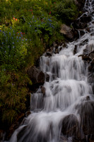 Waterfall ad Wildflowers, Arapaho Pass Trail, Indian Peaks Wilderness Colorado