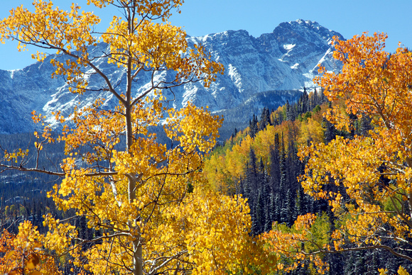 Fall in Eagles Nest Wilderness, Colorado